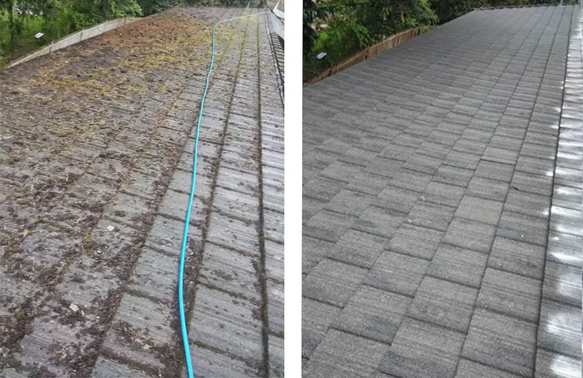 roof cleaning 